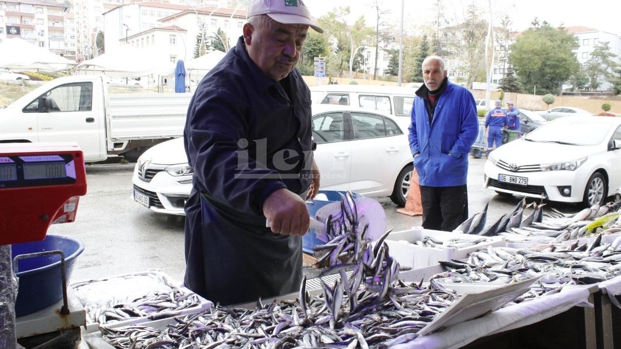 Ordu'da düşen fiyatlar Yozgat'a yansımadı!