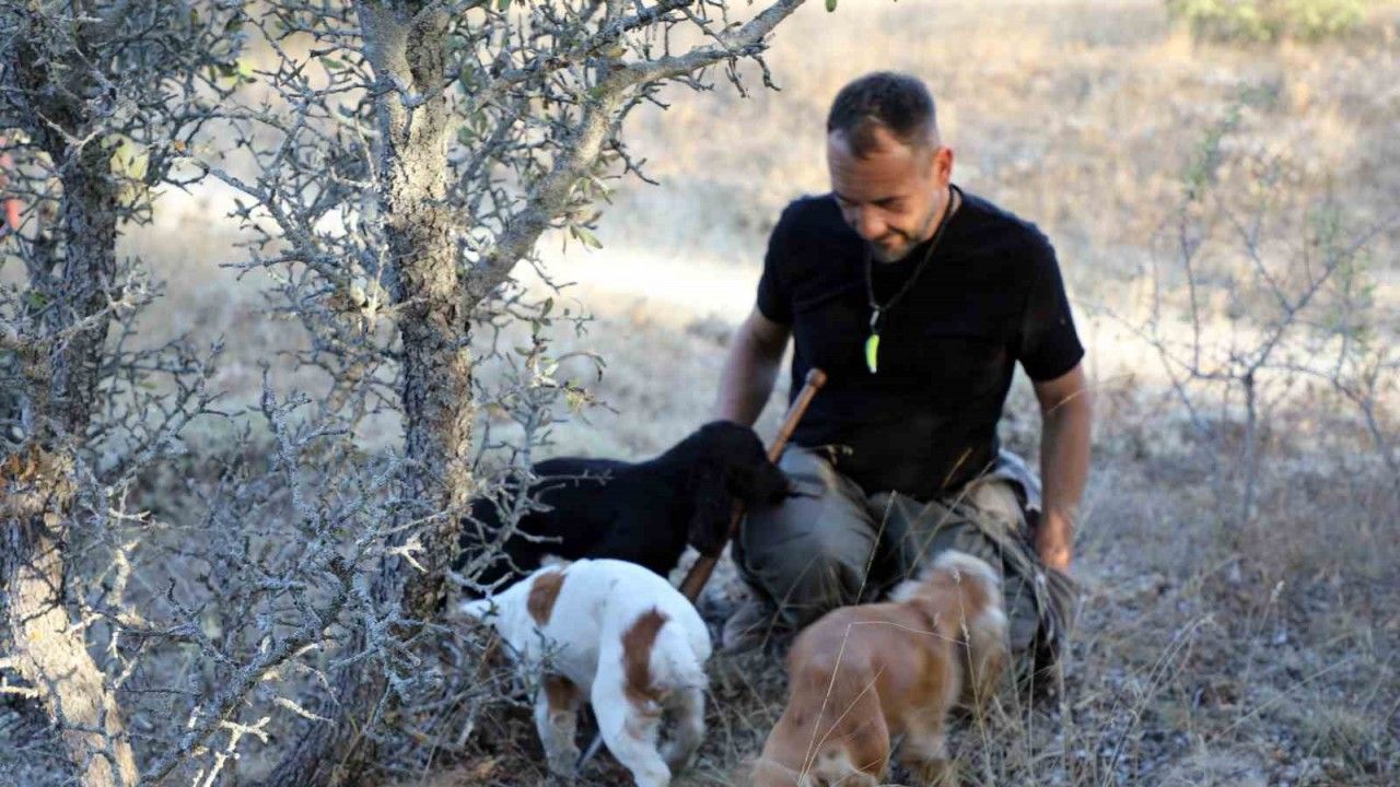 Kilosu 3 bin avro ve sadece özel eğitimli köpekler bulabiliyor