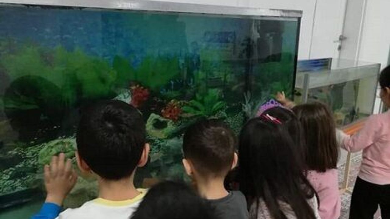 Mini hayvanat bahçesi oluşturuldu