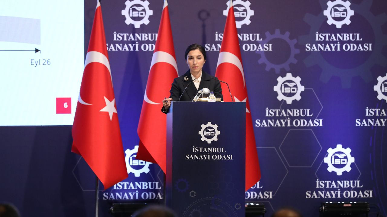 TCMB Başkanı Erkan: "Türk Lirasına geçiş başlamıştır"  