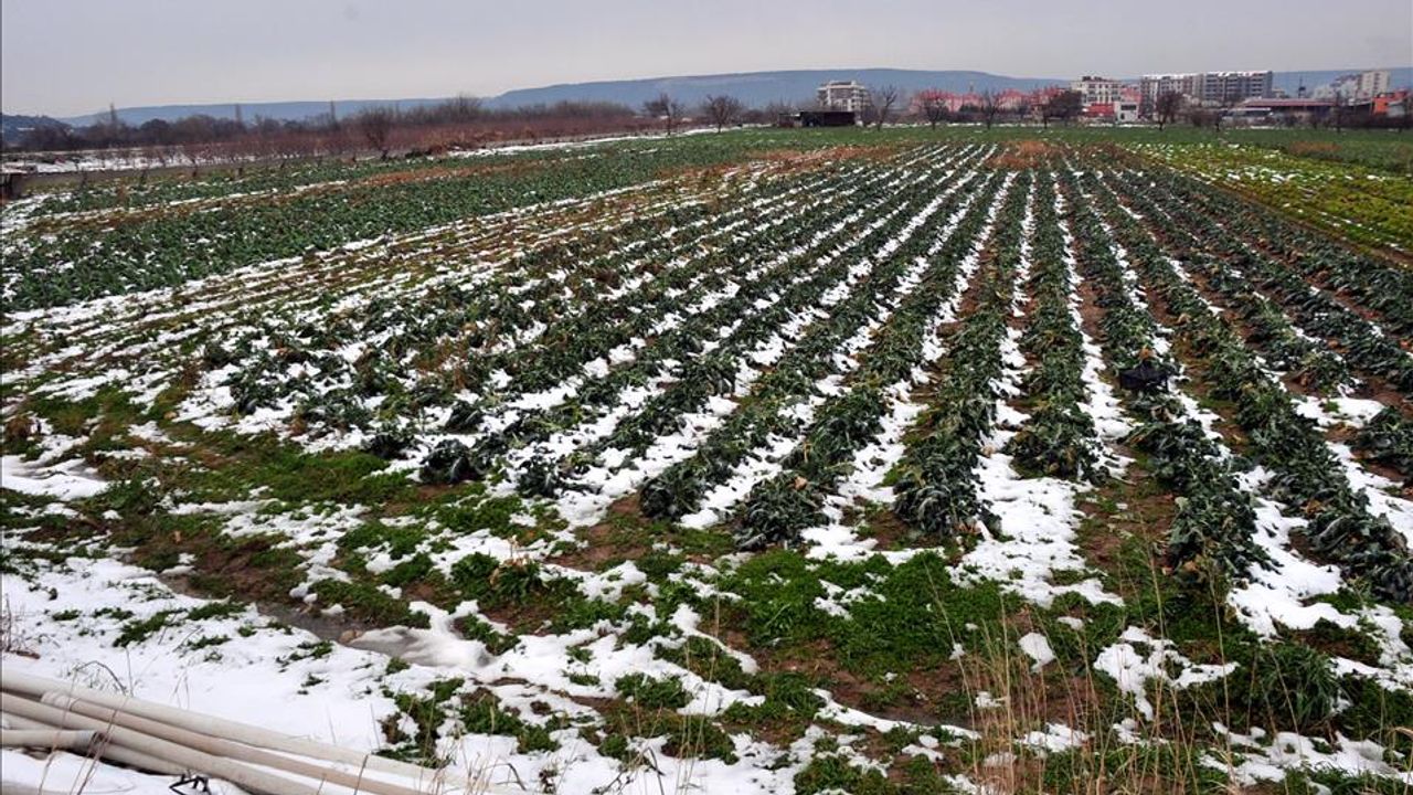 Kış vakti Yozgat'ta tarım eğitimi!