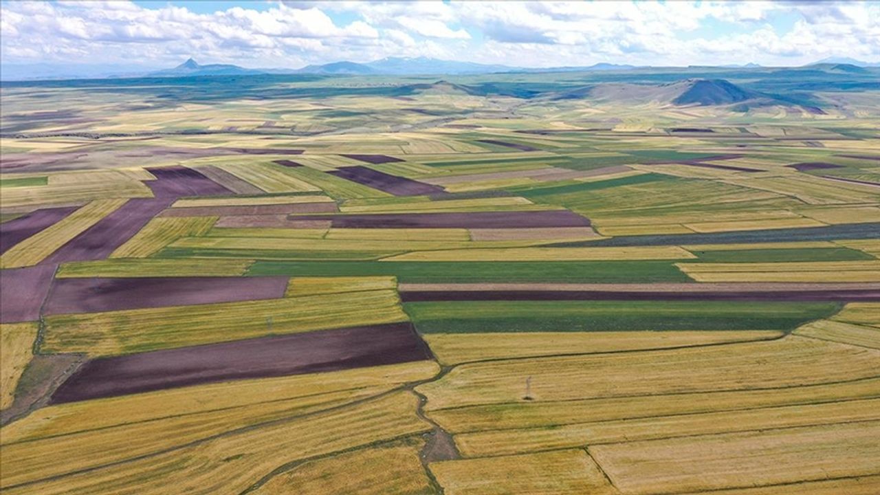 Yozgat'ta arsası olan yaşadı! 300 bin lira destek kapıda