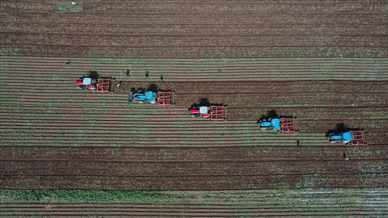 Yozgatlı çiftçiler tehlike altında: Uyarı geldi!