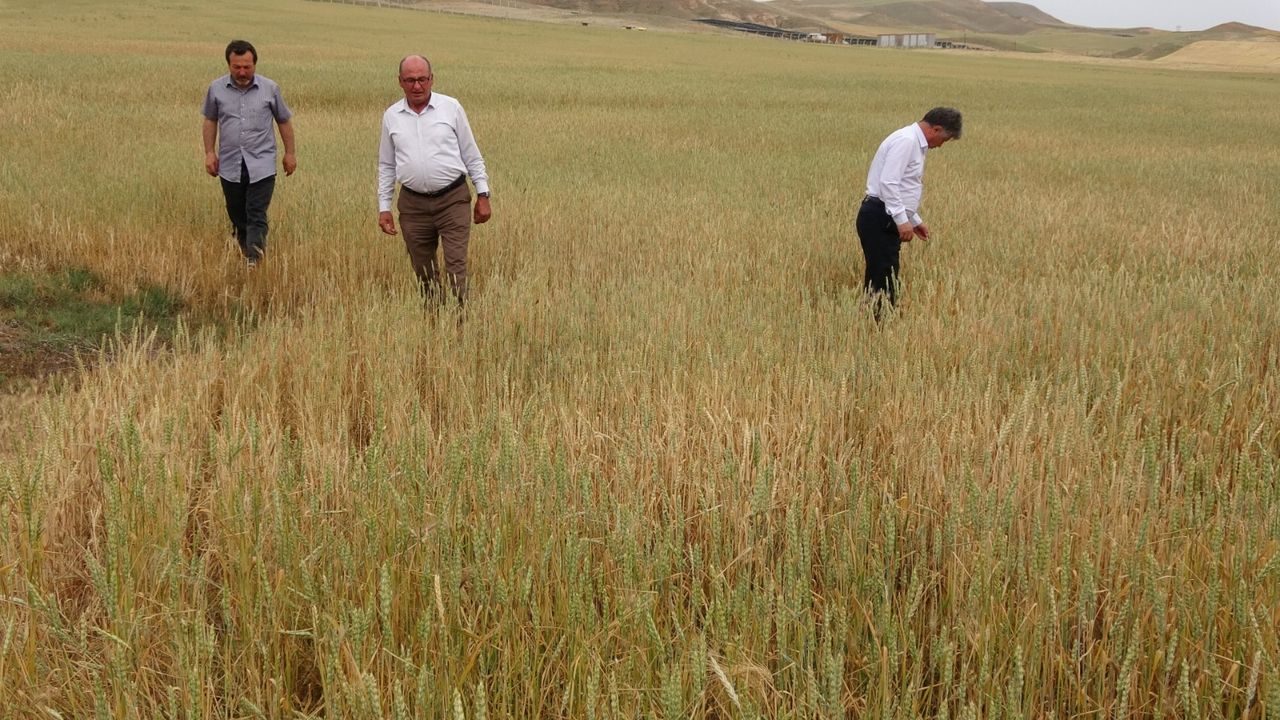 Yozgat'ın durumu vahim! Yüzde 90'ında görülüyor