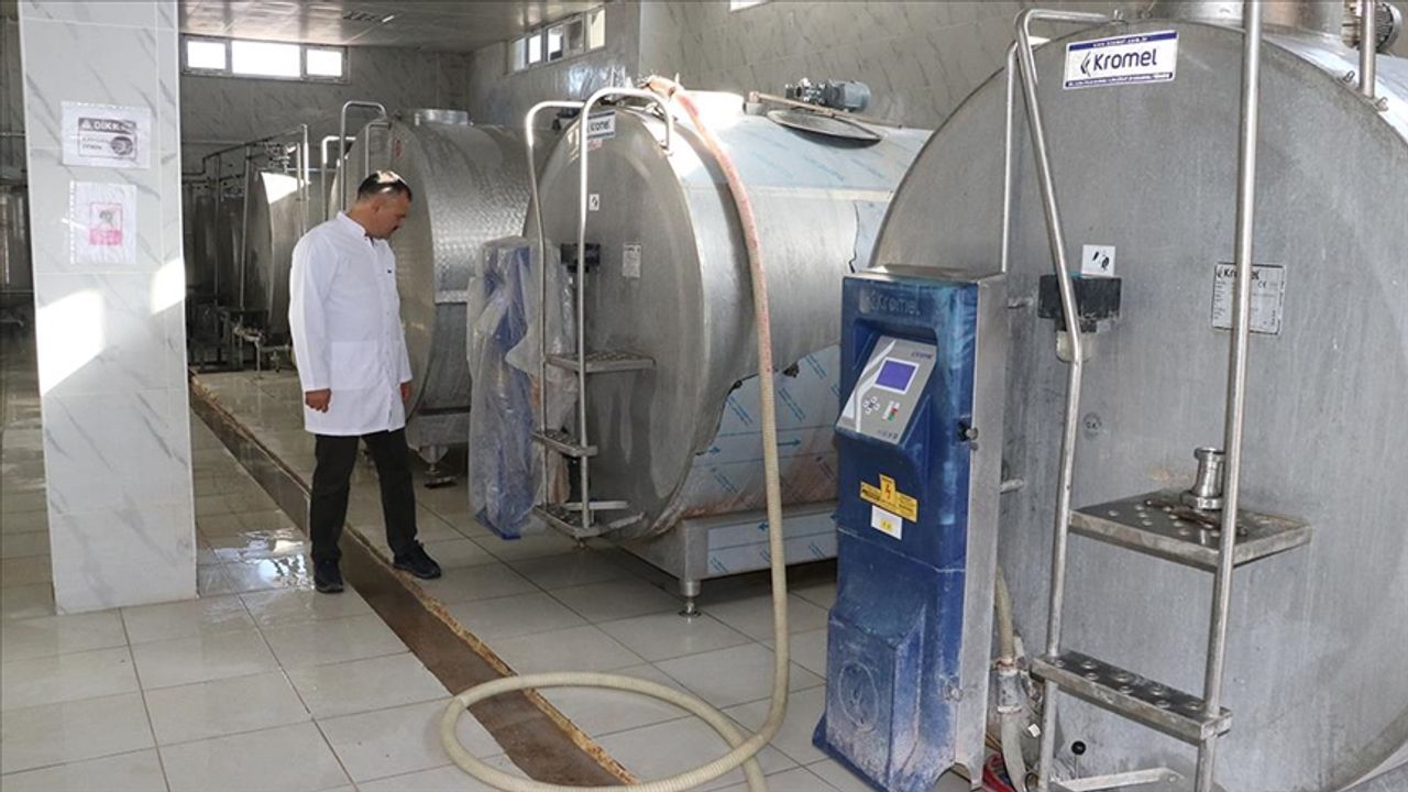 2012 yılında kuruldu... Aylık gelirlerini 2 milyon liraya çıkardılar! Hedefleri çok daha yüksek