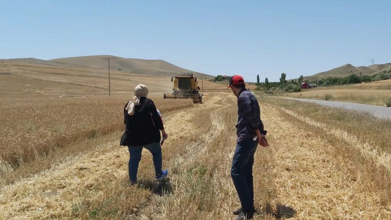 Hasat başladı: Yozgat'ta müdürlük denetimde!