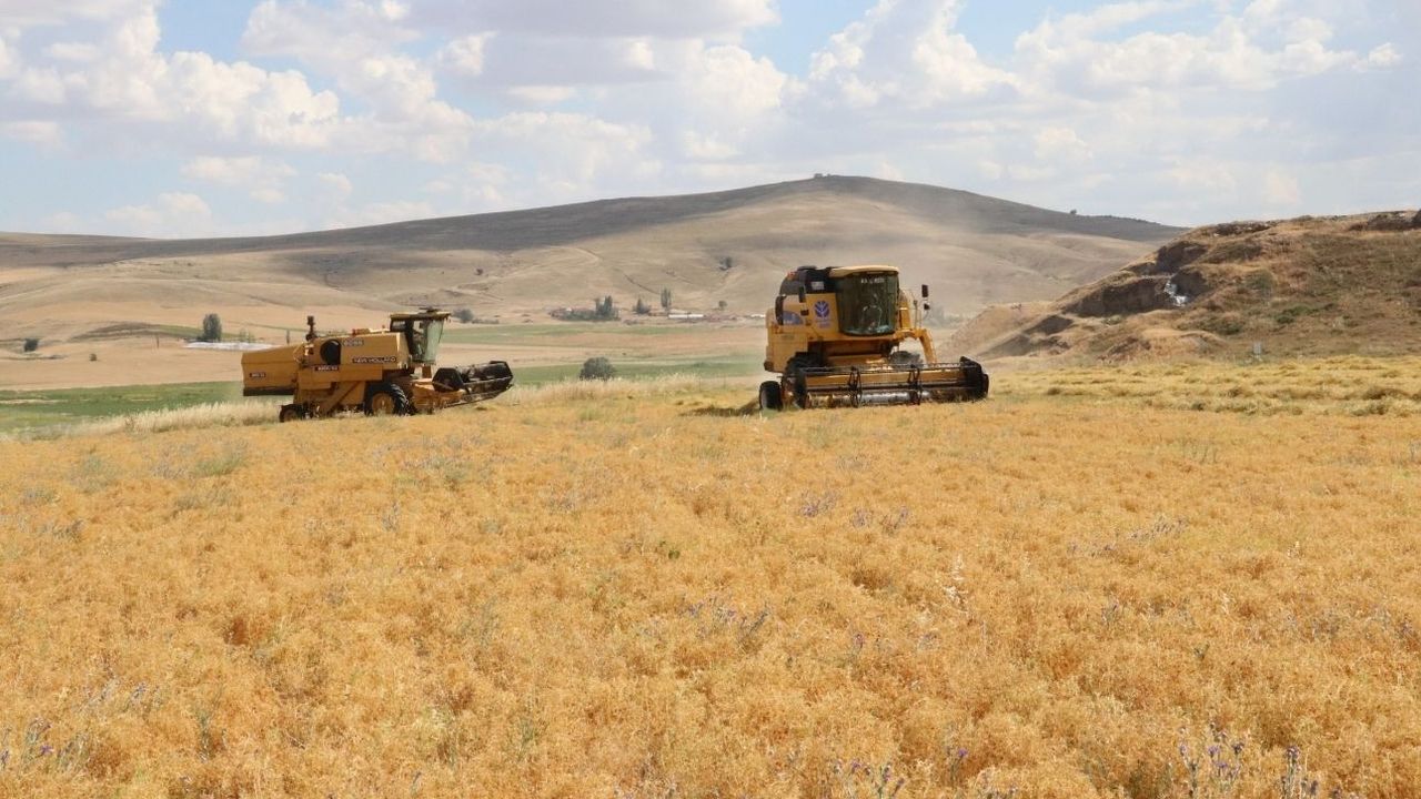 Yozgat birinciliği bırakmıyor! 170 bin dekardan 224 bin 265 dekara yükseldi