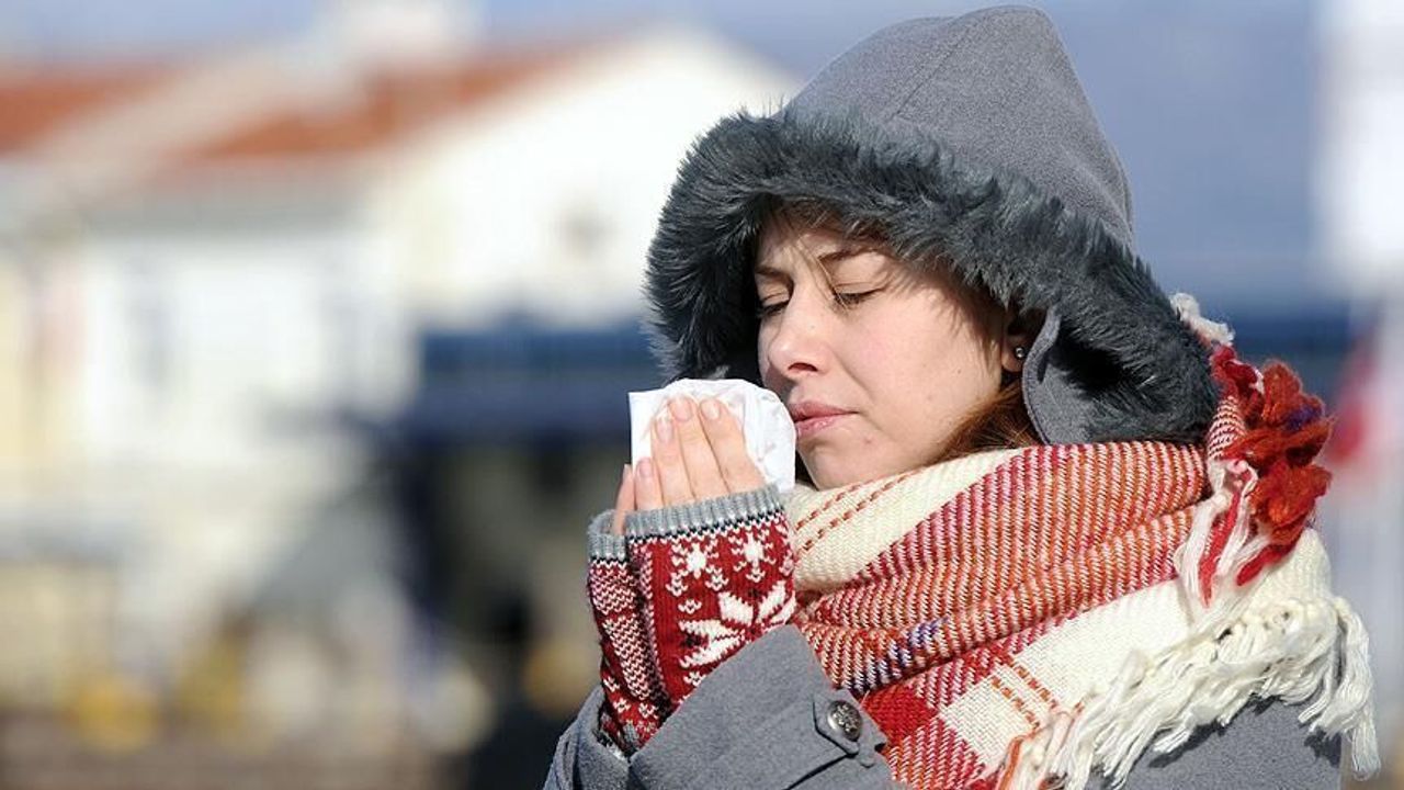 Her evde var... Sarı hazine bir dilimi kışı ilaçsız geçirtiyor!