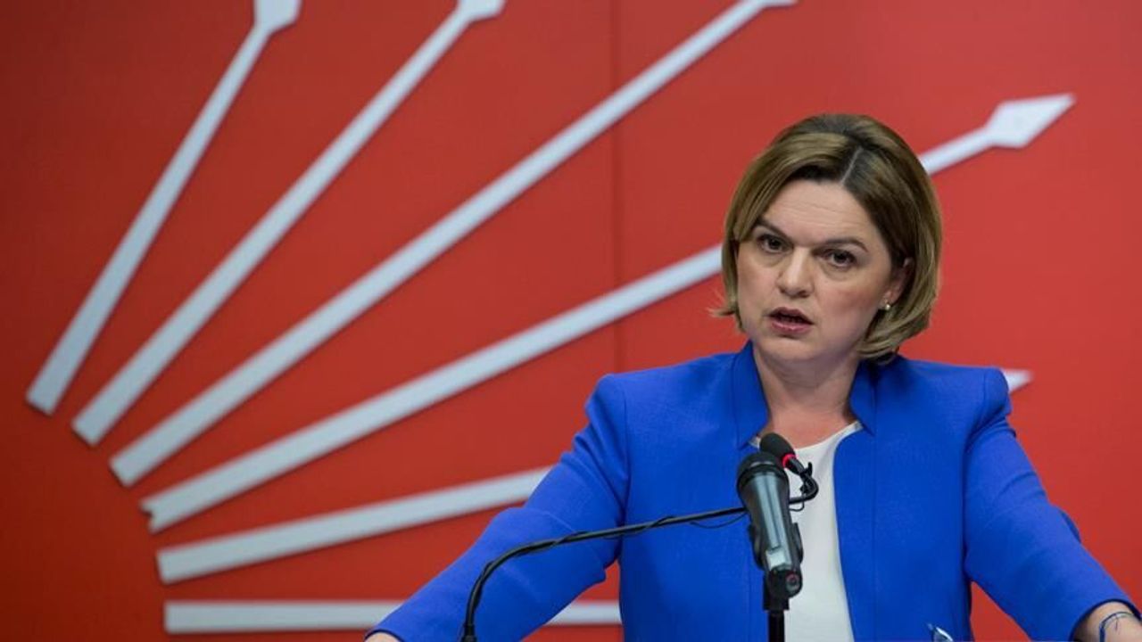 Cem Aydın’ın gözaltına alınmasıyla gündeme geldi: Selin Sayek Böke kimdir?