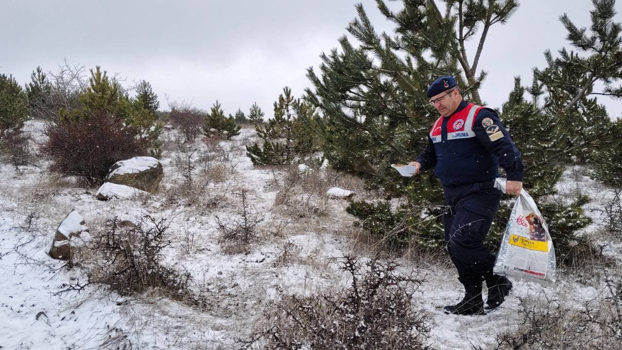 Yozgat'ta kaçak avcılara geçit yok!
