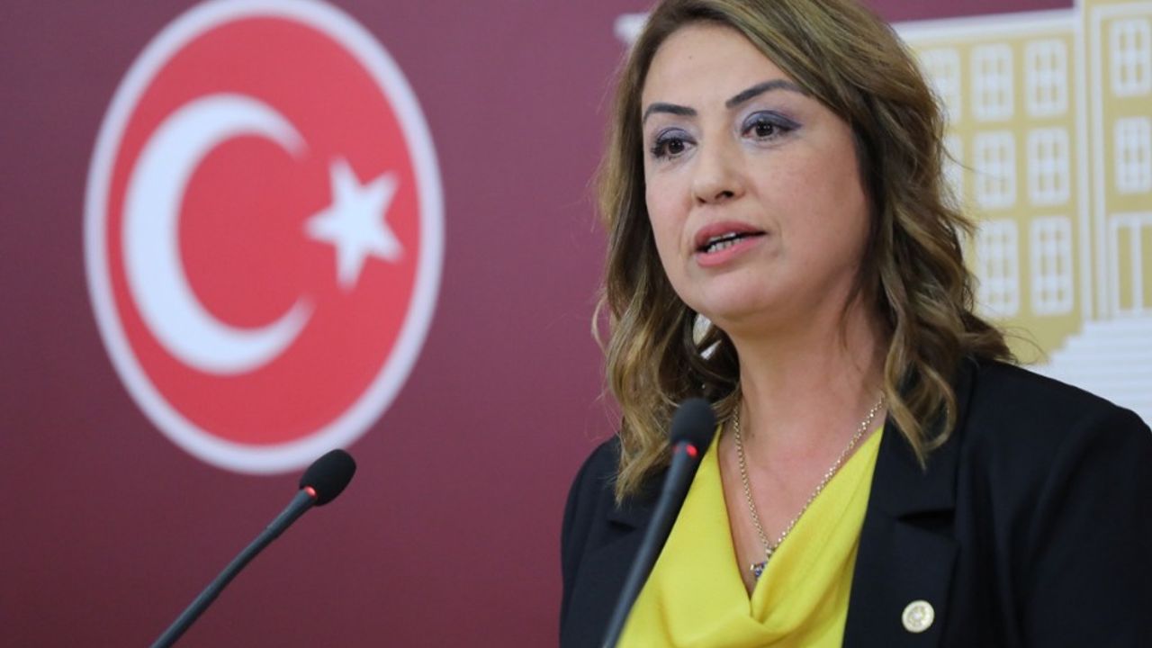Gündeme gelen Milletvekili Nermin Yıldırım Kara kimdir?