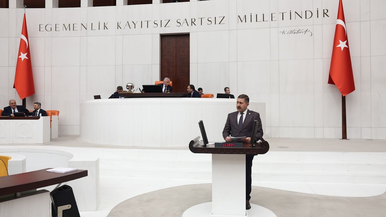 Yozgat Milletvekili Sedef’ten TBMM'de önemli çağrı!