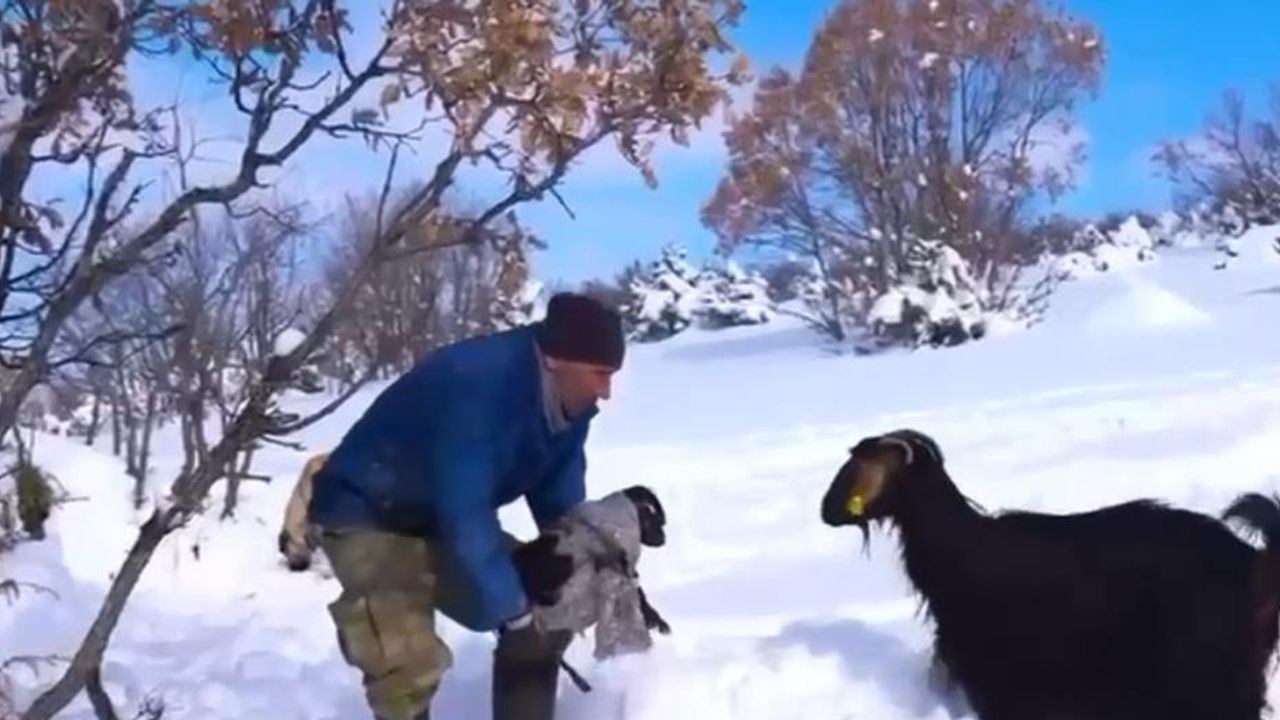 Yurtdışında denedi Yozgat'ta yaptı
