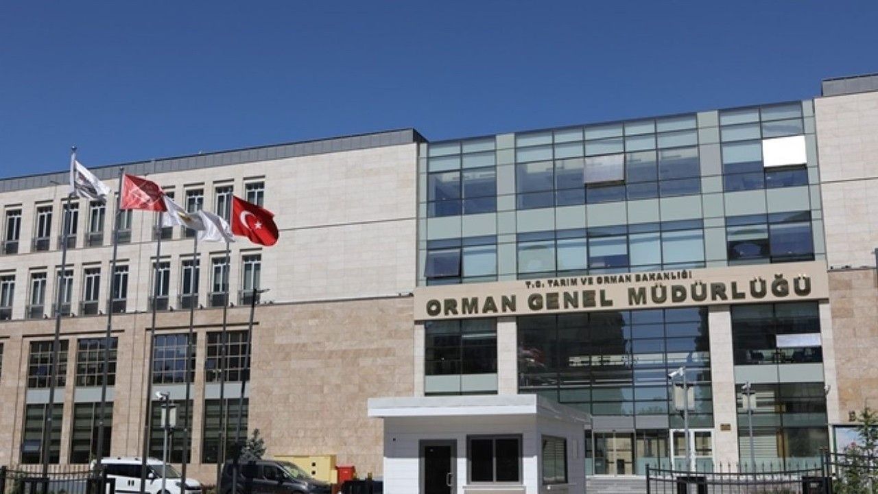 Orman Genel Müdürlüğü Yozgat'ta personel alımı yapacak!
