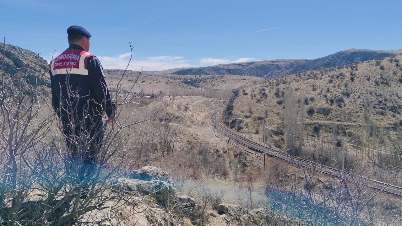 Yozgat'ta yaban hayatına denetim