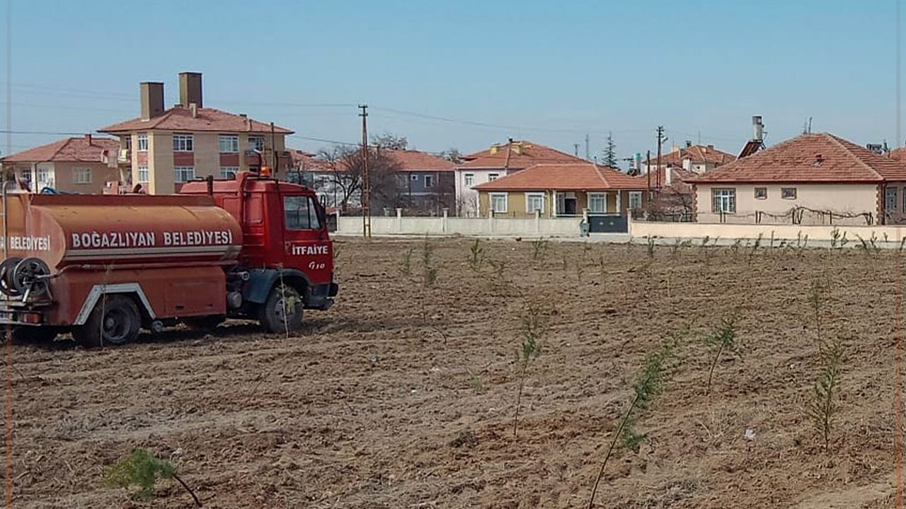 Boğazlıyan yeşilleniyor!
