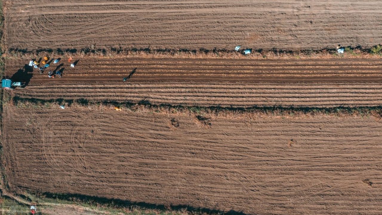 Nevşehir'den Yozgat'a gönderiliyor!