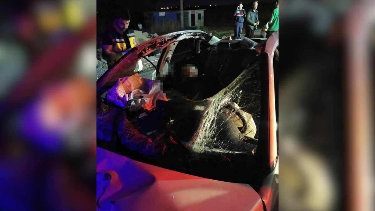 Başıboş ata çarpan otomobil takla attı: 1 ölü, 1 yaralı