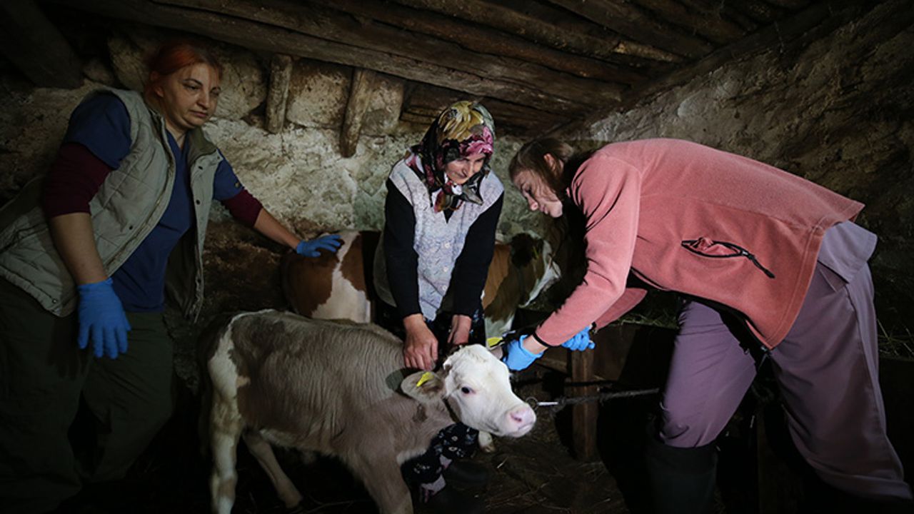 Anteplioğlu'ndan Veteriner Hekimler Günü mesajı