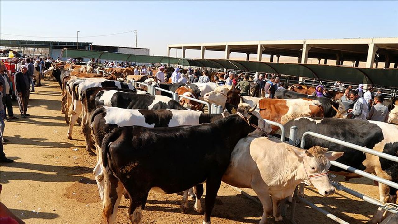 Yozgat’ta bu kurallara uymayana 668 bin TL’ye varan ceza!