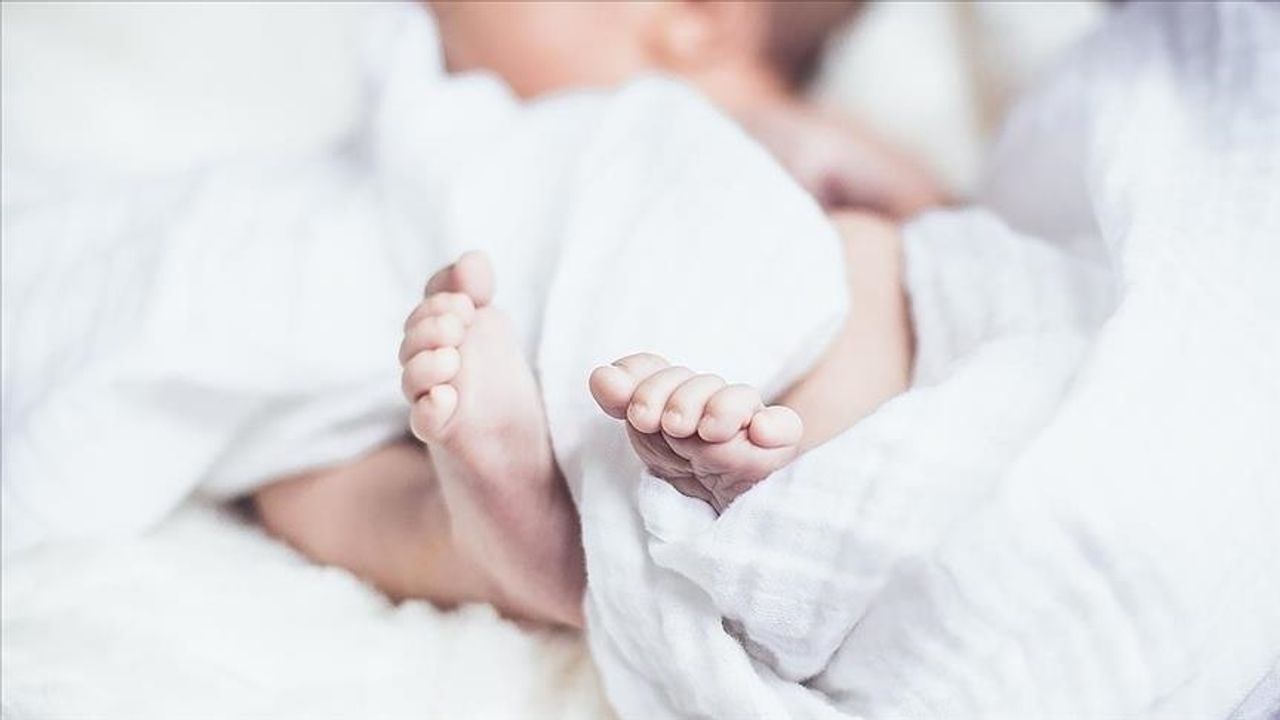 Yeni yardıma yüksek katılım