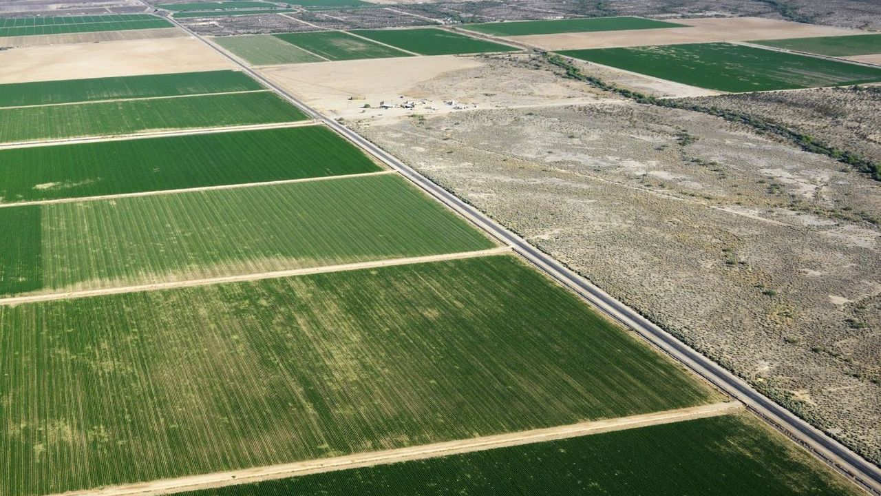 Yozgat’ta Hızlı Tren Gar binasına yakın tarla satışta!