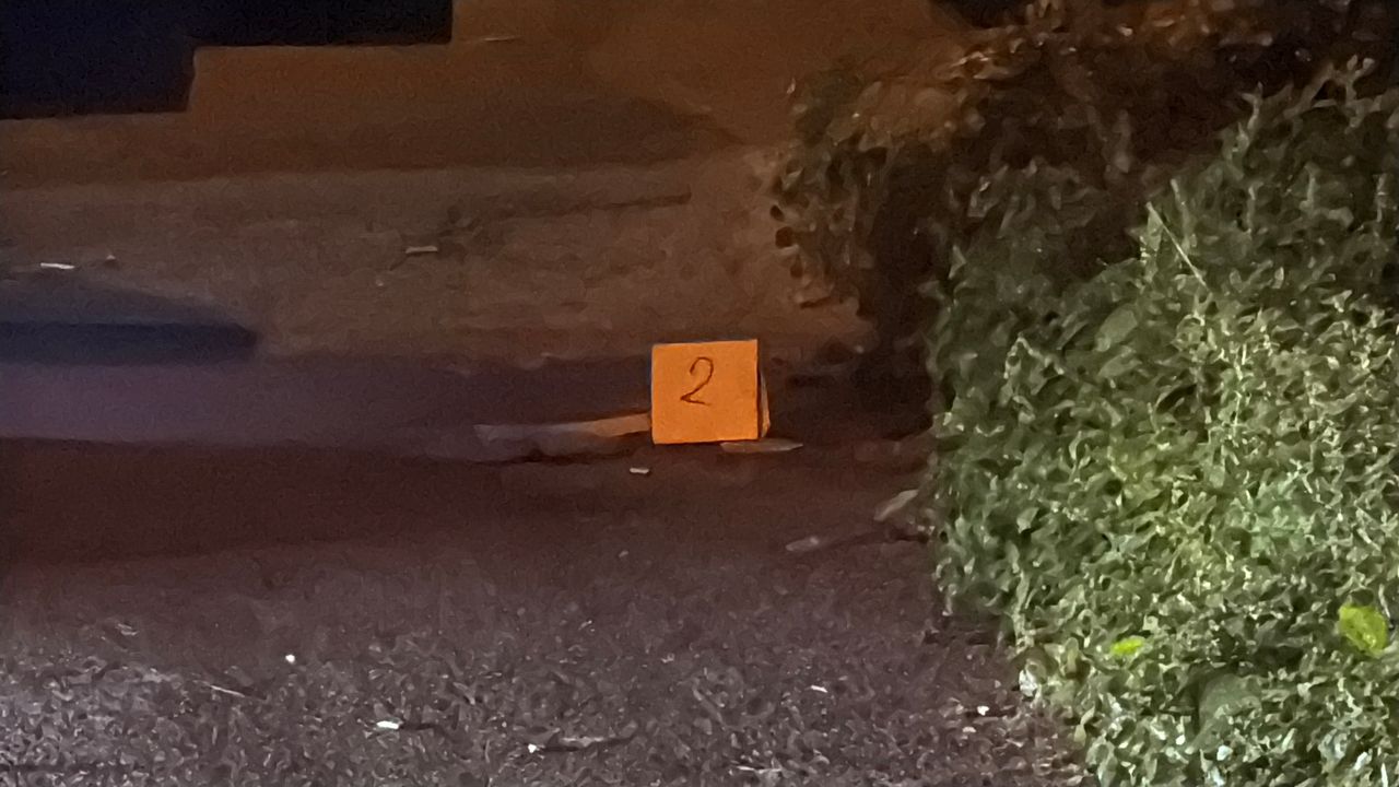 Yolcu araç sürücüsünü öldürüp kayıplara karıştı