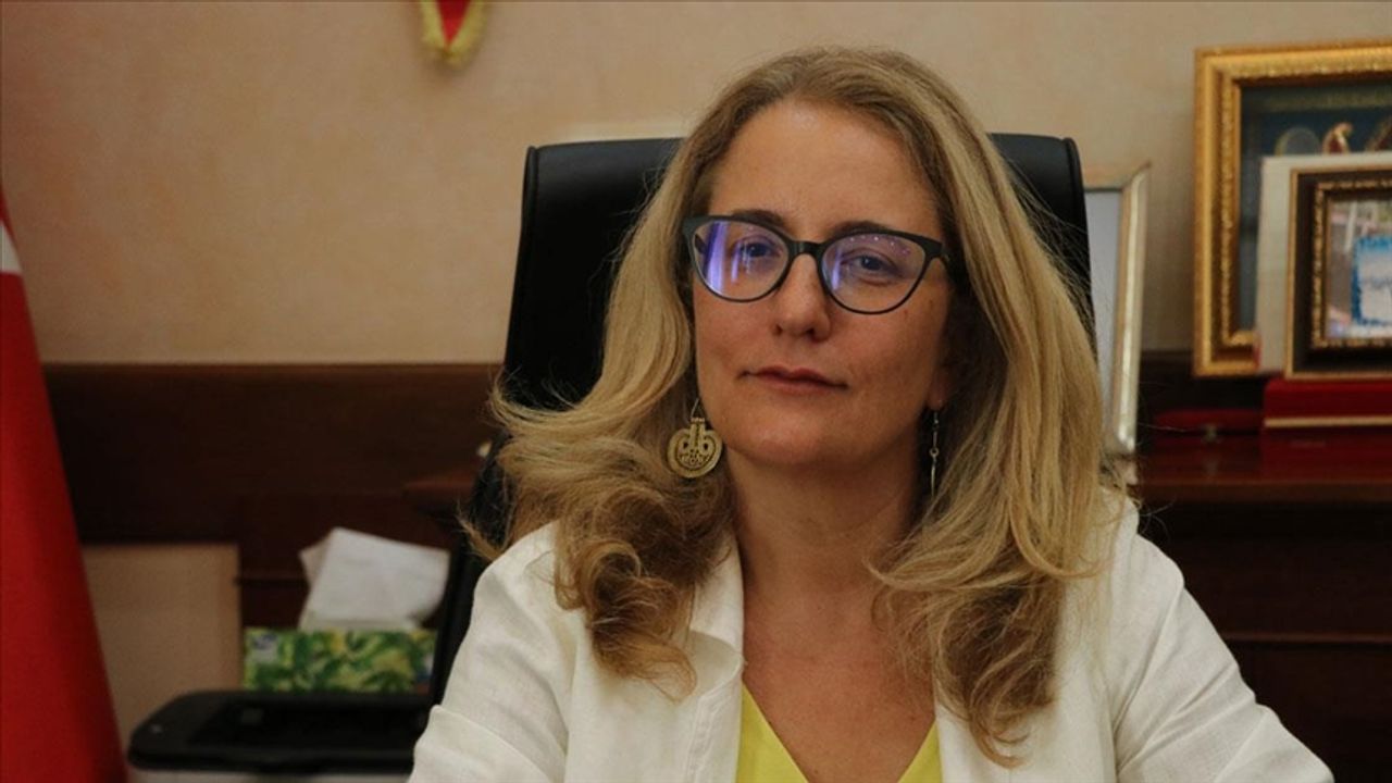 Büyükelçi Fatma Ceren Yazgan kimdir?