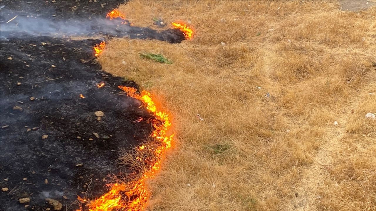 Bir kıvılcım geleceğimizi yakabilir: Vali Özkan’dan anız uyarısı