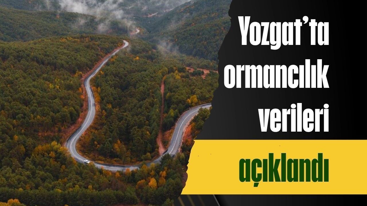 Yozgat’ta ormancılık verileri açıklandı
