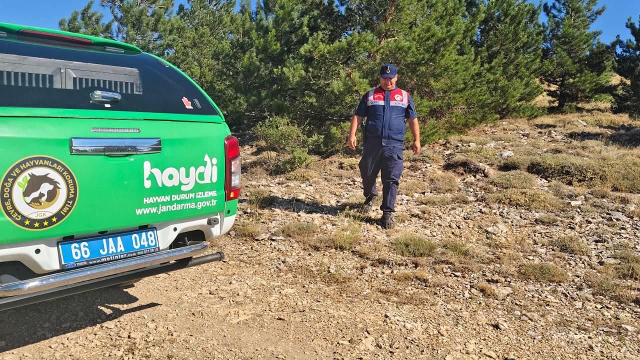 Musabeyli Barajına yangın denetimi