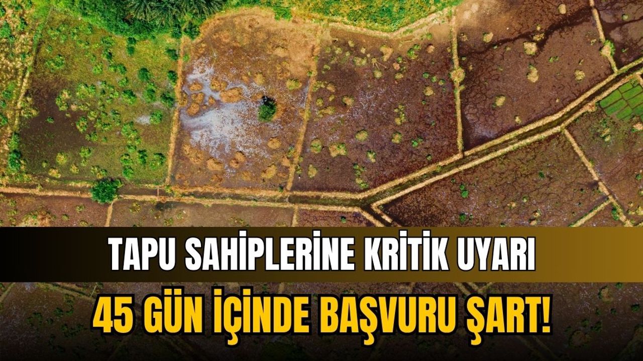 Tapu sahiplerine kritik uyarı: 45 gün içinde başvuru şart!