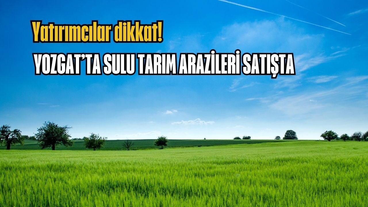 Yatırımcılar dikkat: Yozgat’ta sulu tarım arazileri satışta