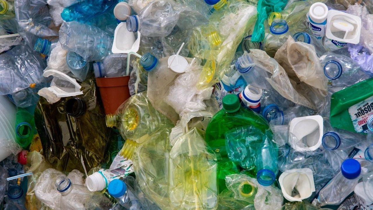 Plastiksiz Temmuz: Sıfır Atık Vakfı raporladı