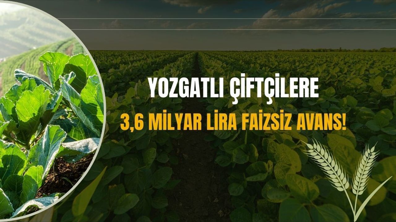 Yozgatlı çiftçilere 3,6 milyar lira faizsiz avans!
