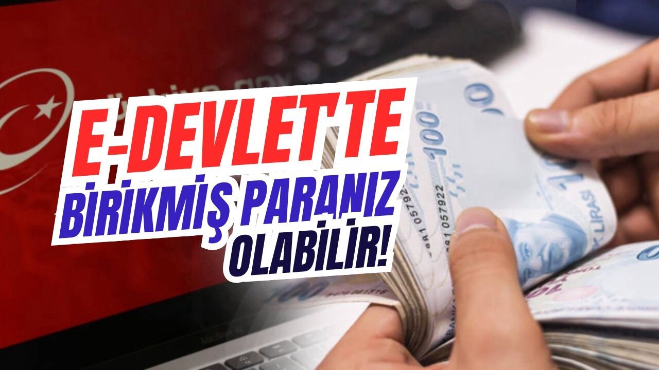 E-Devlet'te birikmiş paranız olabilir!