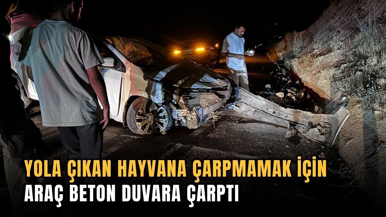 Yola çıkan hayvana çarpmamak için araç beton duvara çarptı