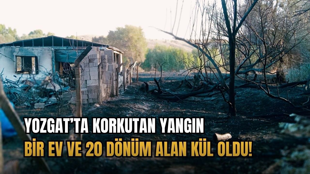 Yozgat’ta korkutan yangın: Bir ev ve 20 dönüm alan kül oldu!