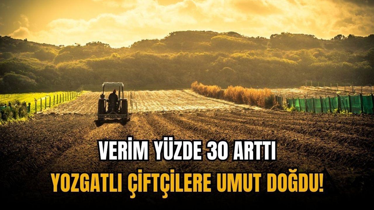 Verim yüzde 30 arttı: Yozgatlı çiftçilere umut doğdu!