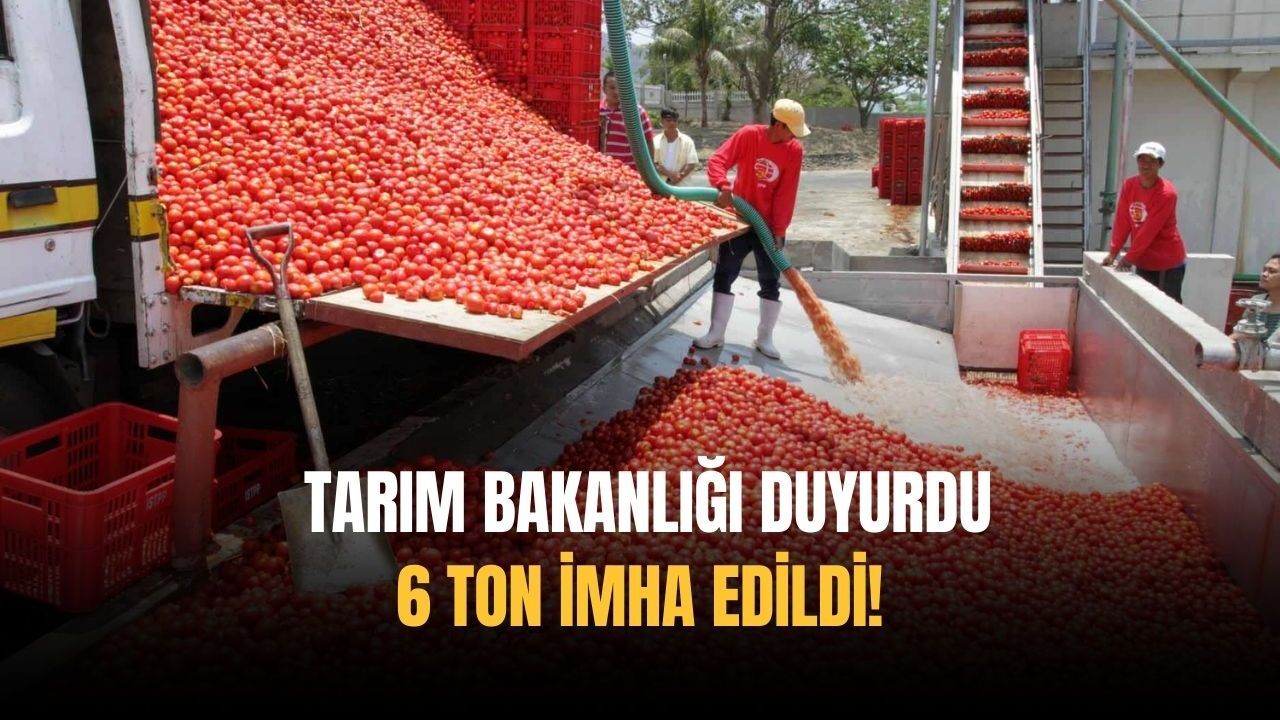 6 ton imha edildi! Tarım Bakanlığı duyurdu