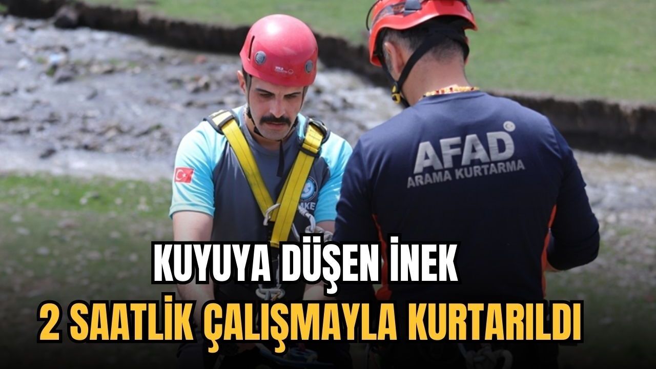 Kuyuya düşen inek 2 saatlik çalışmayla kurtarıldı