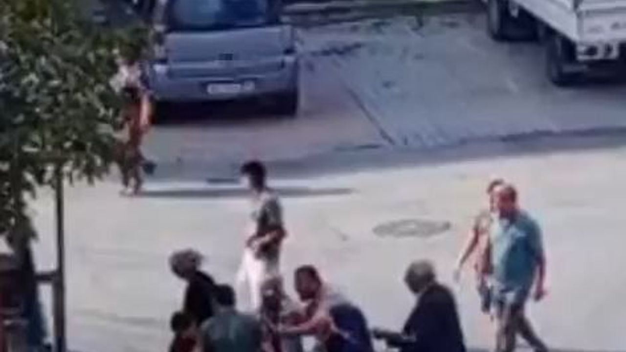 Sokak köpeği çocuğu ısırdı, ailesi ile köpeği besleyen adam birbirine girdi