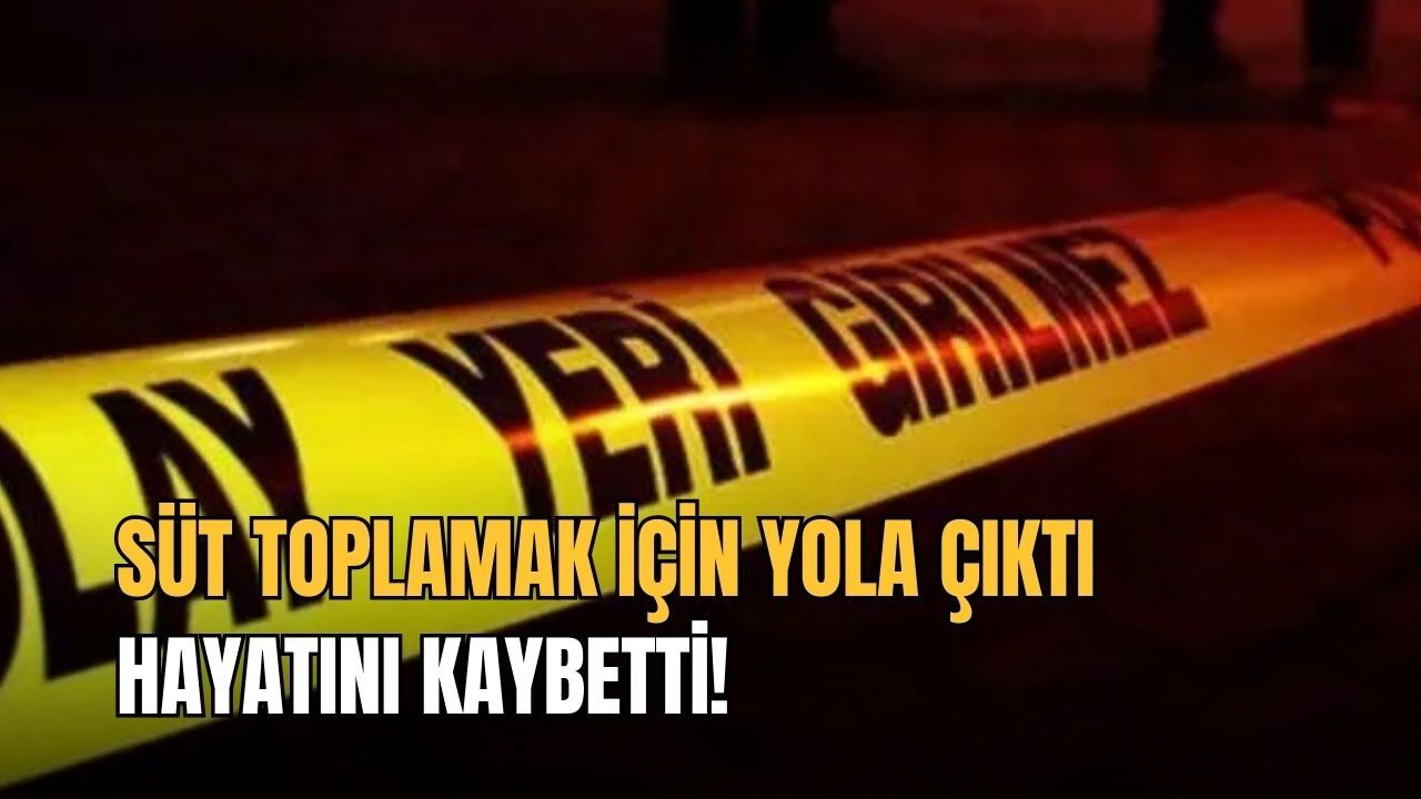 Süt toplamak için yola çıktı: Hayatını kaybetti!