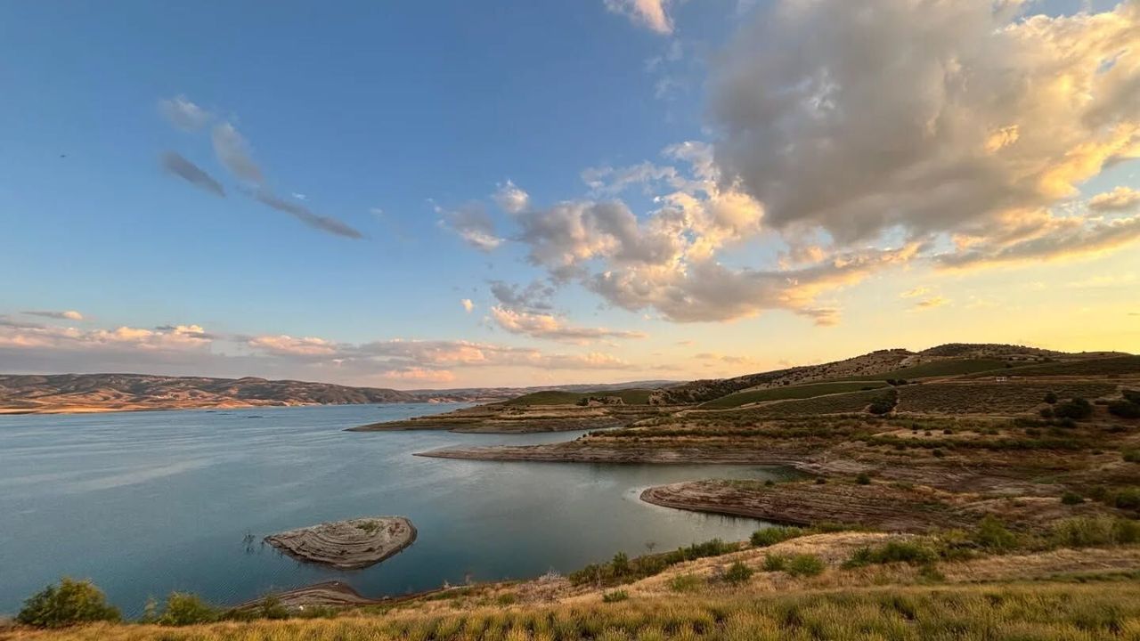SORGED gençleri Lavanta Adası'nda!
