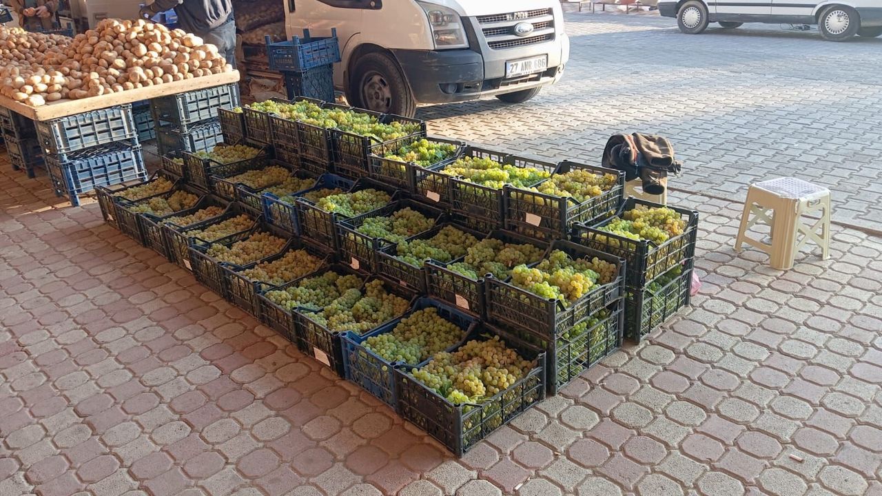 Şefaatli'de organik üzümler tezgahta yerini aldı