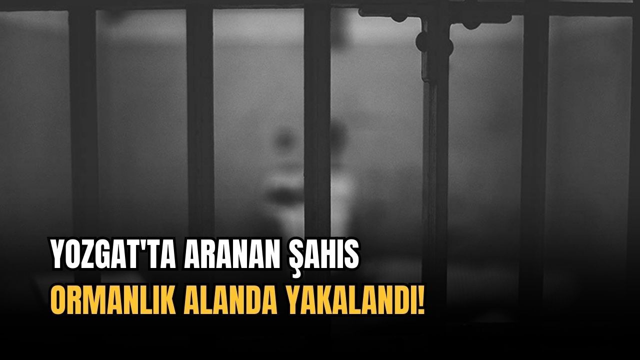 Yozgat'ta aranan şahıs ormanlık alanda yakalandı!