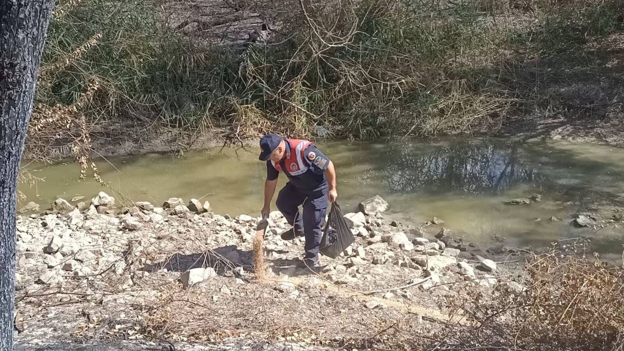 Yozgat'ta yangın bölgelerine yem yardımı!