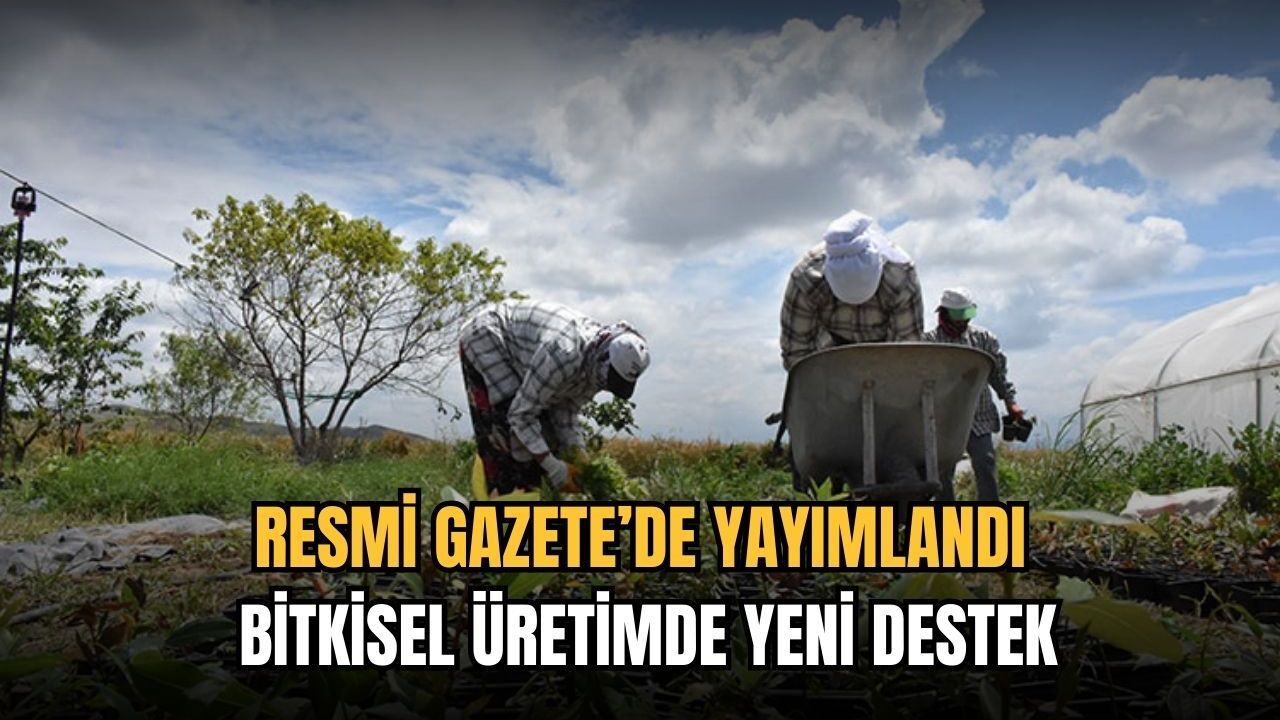 Resmi Gazete’de yayımlandı: Bitkisel üretimde yeni destek