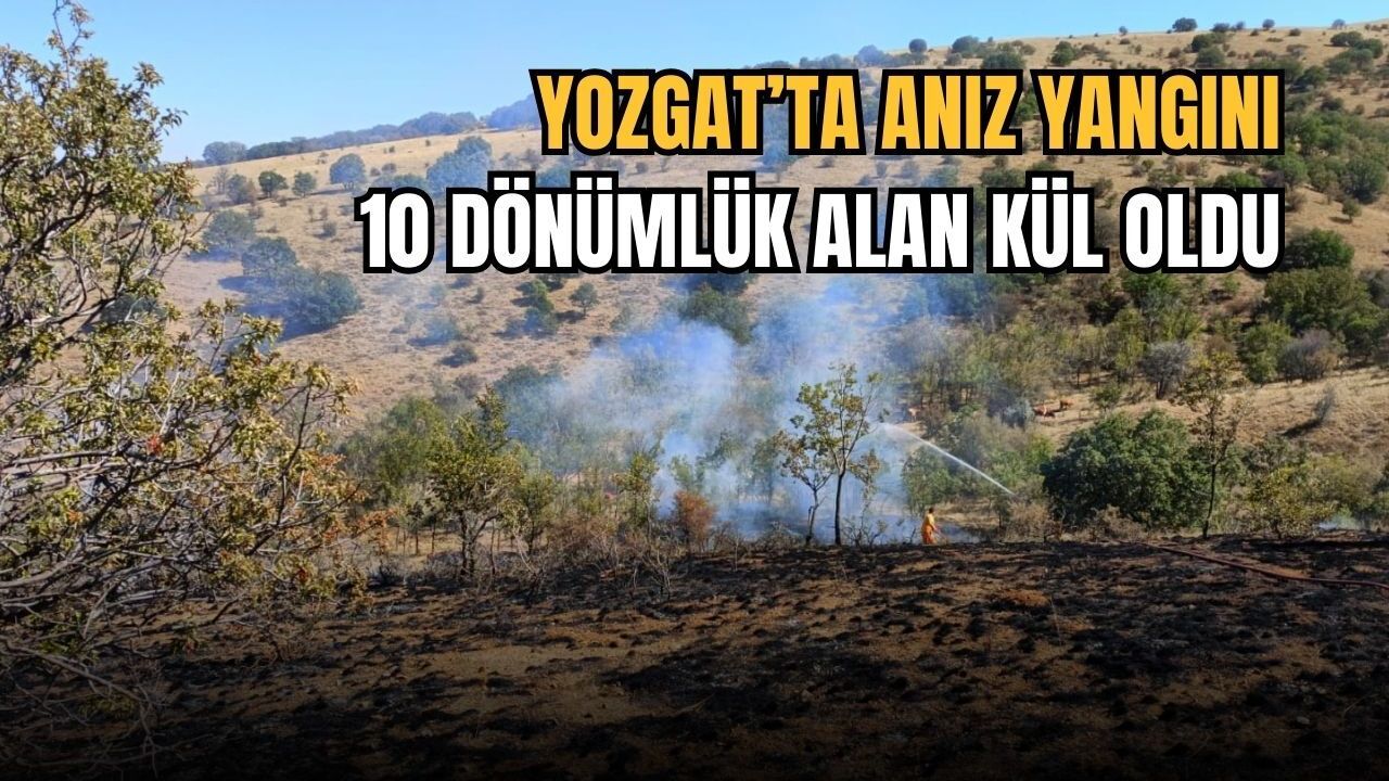 Yozgat’ta anız yangını: 10 dönümlük alan kül oldu