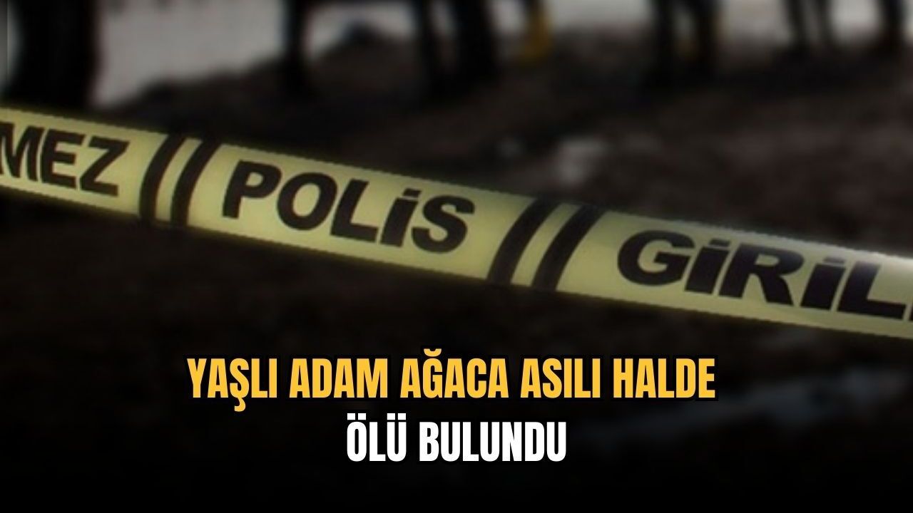 Yaşlı adam ağaca asılı halde ölü bulundu